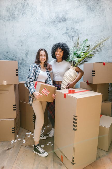 Two women standing indoors among stacked cardboard moving boxes, some sealed with red packing tape, in a room with a textured grey wall. One woman, wearing a checked shirt and beige trousers, holds a box while smiling at the camera. The other woman, dressed in a white top and patterned trousers, holds a large decorative ceramic vase with broad green leaves. The scene captures the process of packing and preparing for a home relocation, with lighting that highlights the furniture and packing materials. Finchley Man and Van offers house removal services, as indicated by the setting with boxes and packing activities, suitable for a furniture transport or moving logistics scenario. The environment suggests an active loading process, possibly in preparation for a same-day removal service in Finchley N12.
